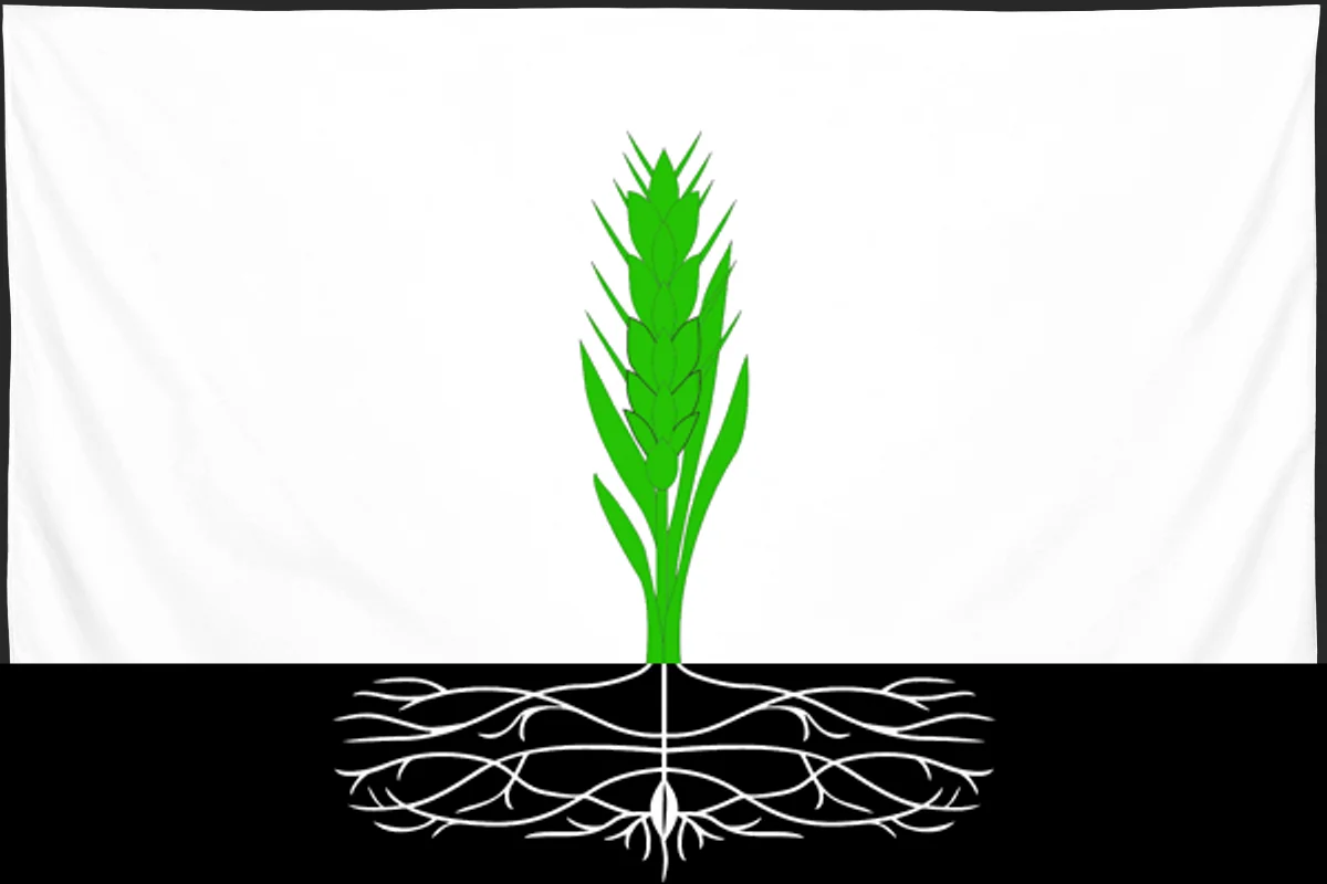 Флаг: Починковский район